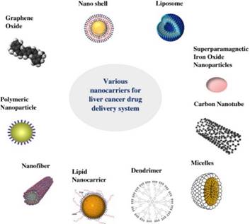 Full text] Nanocarrier-Based Therapeutics and Theranostics Drug Delivery  Systems | IJN